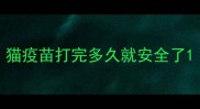 猫疫苗打完多久就安全了