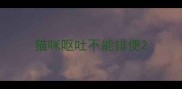 猫咪呕吐不能排便