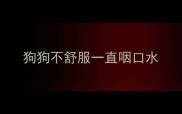 狗狗不舒服一直咽口水