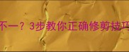 哈士奇剃毛长短不一3步教你正确修剪技巧告别尴尬毛