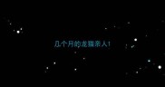 几个月的龙猫亲人