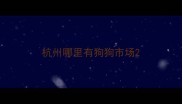 杭州哪里有狗狗市场