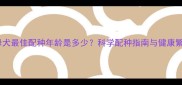 泰迪母犬最佳配种年龄是多少科学配种指南与健康繁殖全