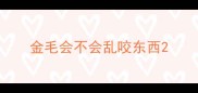 金毛会不会乱咬东西