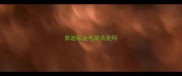 泰迪和金毛能共处吗