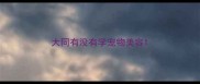大同有没有学宠物美容