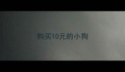 购买10元的小狗
