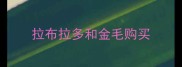 拉布拉多和金毛购买