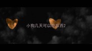 小狗几天可以吃东西