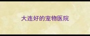 大连好的宠物医院