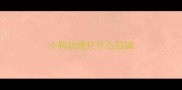 小狗幼崽打什么疫苗