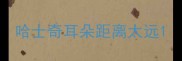 哈士奇耳朵距离太远
