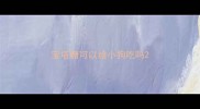 宝塔糖可以给小狗吃吗