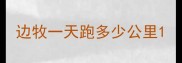边牧一天跑多少公里