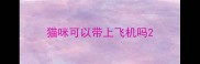猫咪可以带上飞机吗
