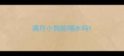 满月小狗能喝水吗
