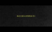 有纪念意义的狗狗名字