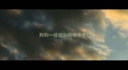 狗狗一碰就尖叫精神差