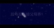 拉布拉多给父母养