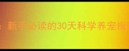 拉布拉多幼犬饲养全攻略新手必读的30天科学养宠指南附疫苗饮食训练表