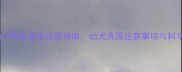 两个月大的小狗洗澡全流程指南幼犬洗澡注意事项与科学护理方法