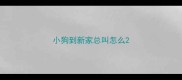 小狗到新家总叫怎么