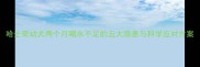 哈士奇幼犬两个月喝水不足的五大隐患与科学应对方案