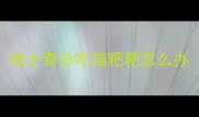 哈士奇总吃猫粑粑怎么办