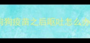 狗狗疫苗之后呕吐怎么办
