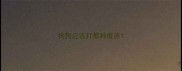 狗狗应该打那种疫苗