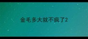 金毛多大就不疯了