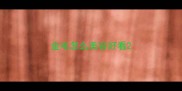 金毛怎么美容好看