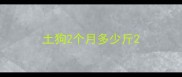 土狗2个月多少斤