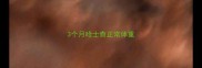 3个月哈士奇正常体重