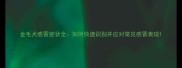 金毛犬感冒症状全如何快速识别并应对常见感冒表现