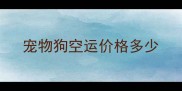 宠物狗空运价格多少