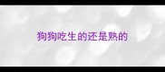 狗狗吃生的还是熟的