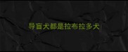 导盲犬都是拉布拉多犬