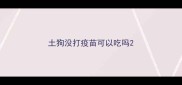 土狗没打疫苗可以吃吗