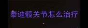 泰迪髋关节怎么治疗