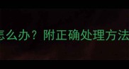 猫咪咬了别的猫咪后脖颈怎么办附正确处理方法和预防措施宠物医生亲授