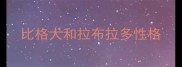 比格犬和拉布拉多性格
