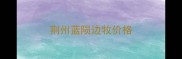 荆州蓝陨边牧价格
