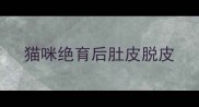 猫咪绝育后肚皮脱皮