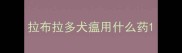 拉布拉多犬瘟用什么药