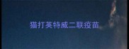 猫打英特威二联疫苗