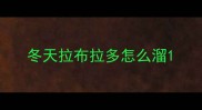 冬天拉布拉多怎么溜