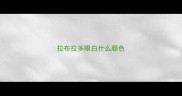拉布拉多眼白什么颜色