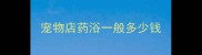 宠物店药浴一般多少钱