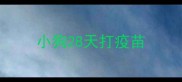 小狗28天打疫苗